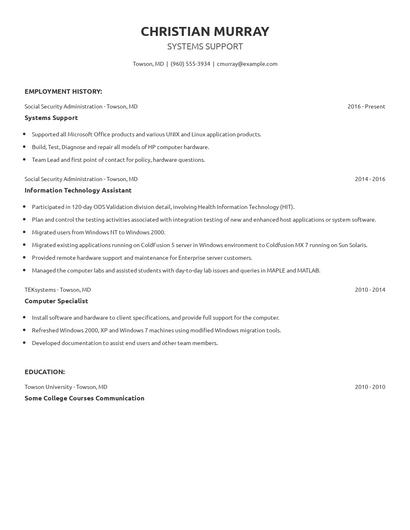 Resume example 4